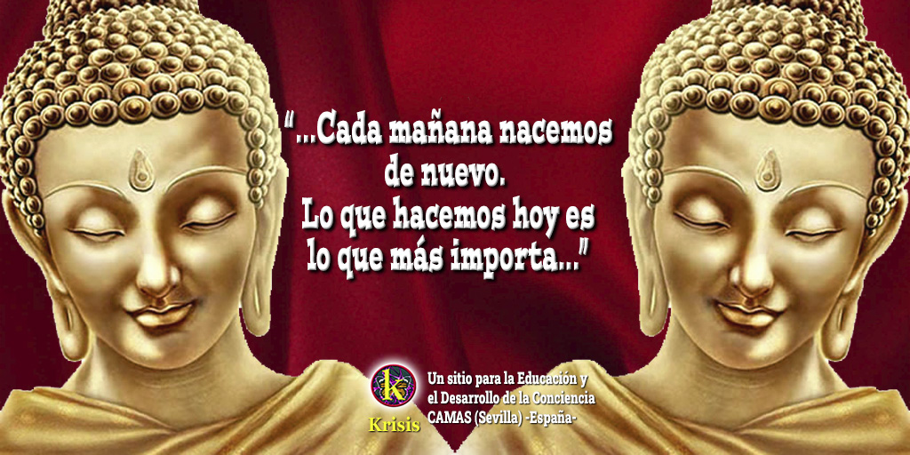Una llamada al amor 8